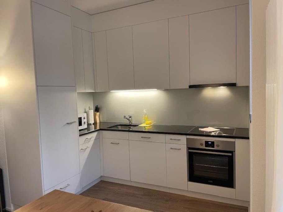 Elegant 2Br Apartment - Canal3 Zürich Exterior foto